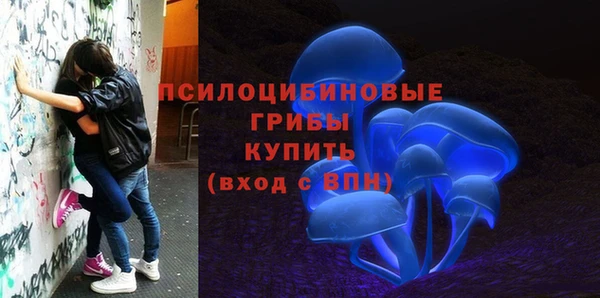 героин Алексин