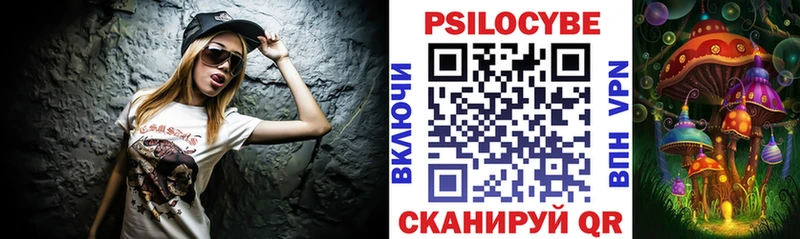 Псилоцибиновые грибы GOLDEN TEACHER  ОМГ ОМГ сайт  Биробиджан 